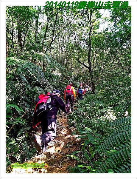 康樂山走翠湖14.JPG
