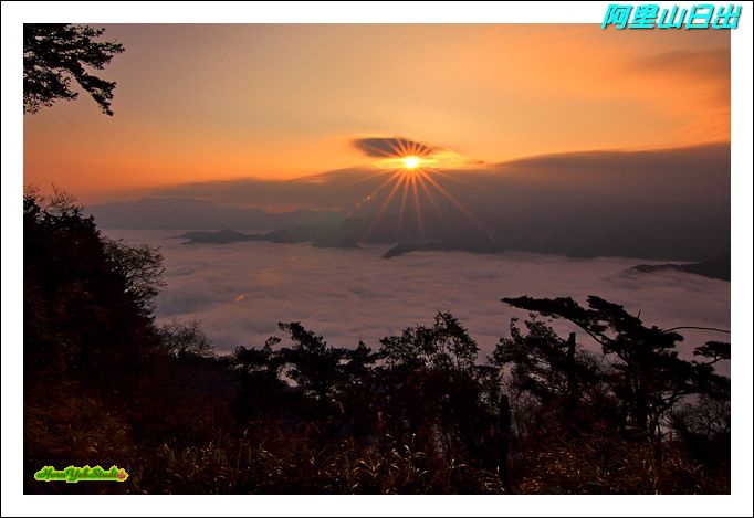 阿里山日出1A.JPG 阿里山日出1A.JPG