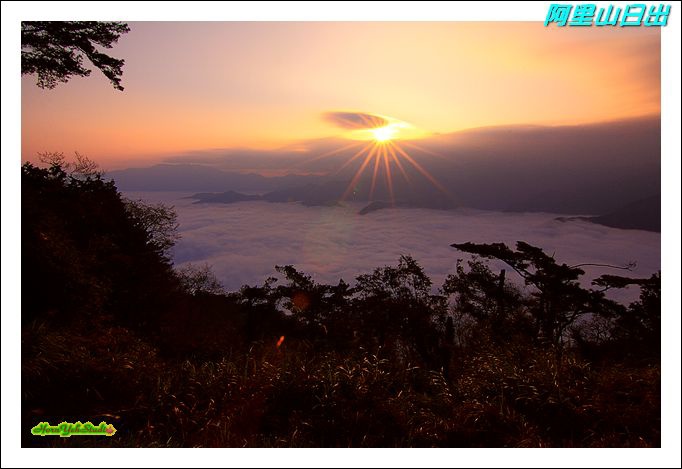 阿里山日出2A.JPG 阿里山日出2A.JPG