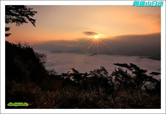 阿里山日出3A.JPG 阿里山日出3A.JPG