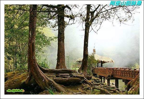 阿里山姐妹潭05.JPG