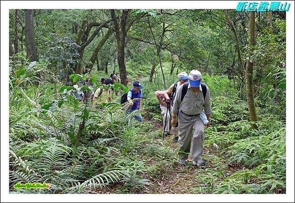 新店塗潭山04.JPG 新店塗潭山04.JPG