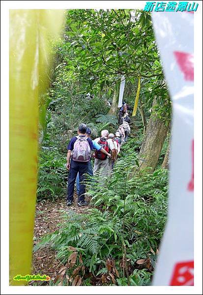 新店塗潭山06.JPG