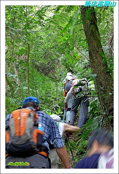 新店塗潭山10.JPG 新店塗潭山10.JPG