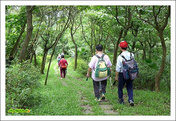 中南山小南港山福山10.JPG