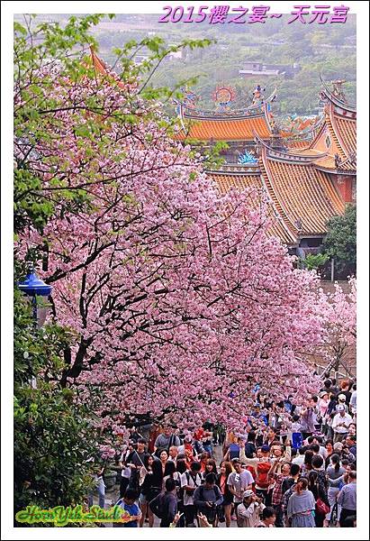 2015櫻之宴~天元宮05.jpg