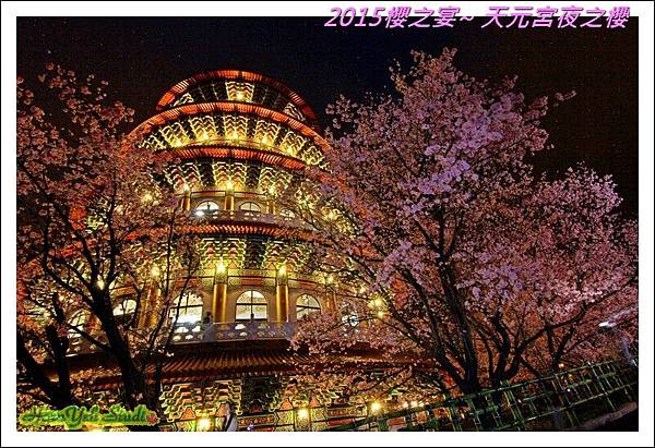 2015櫻之宴~天元宮夜之櫻04.jpg
