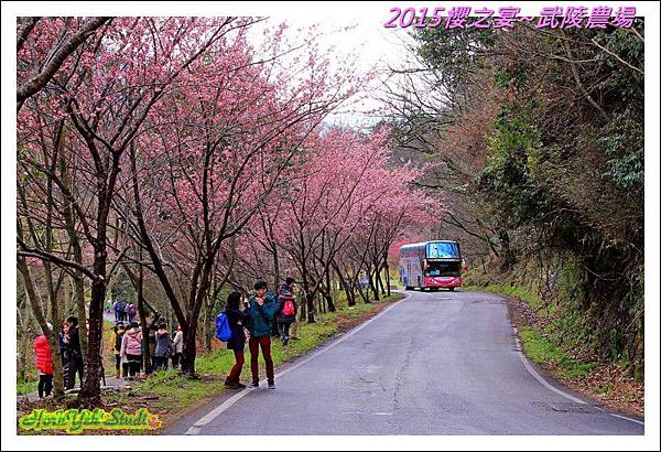 2015櫻之宴~武陵農場02.jpg