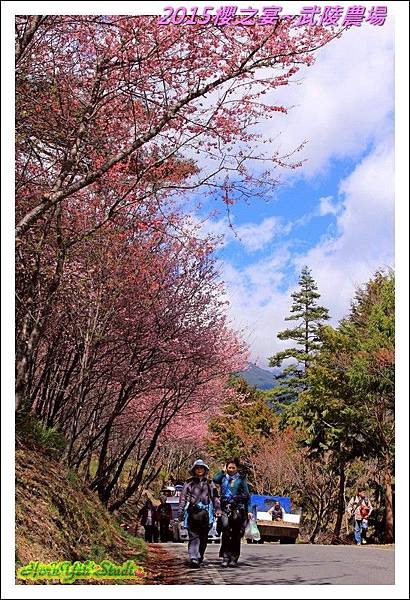 2015櫻之宴~武陵農場12.jpg