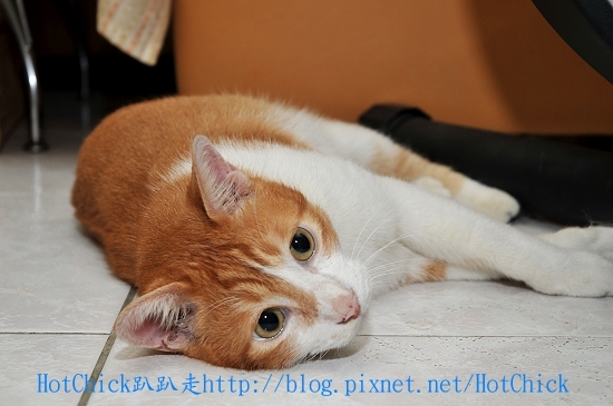 藥05.jpg 藥05.jpg