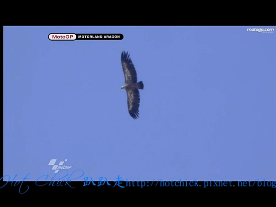 QP-2011091701.jpg QP-2011091701.jpg