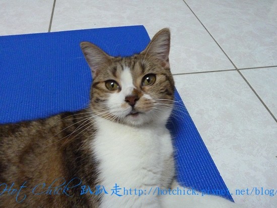 pull02.jpg pull02.jpg