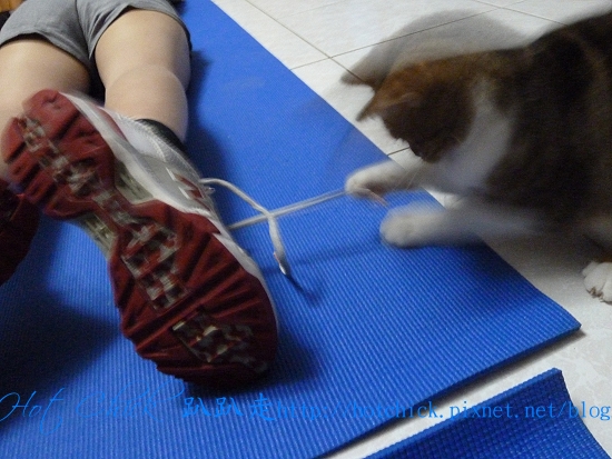 pull04.jpg pull04.jpg