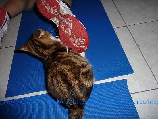 pull05.jpg pull05.jpg