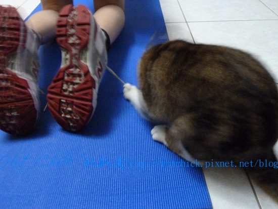 pull06.jpg pull06.jpg