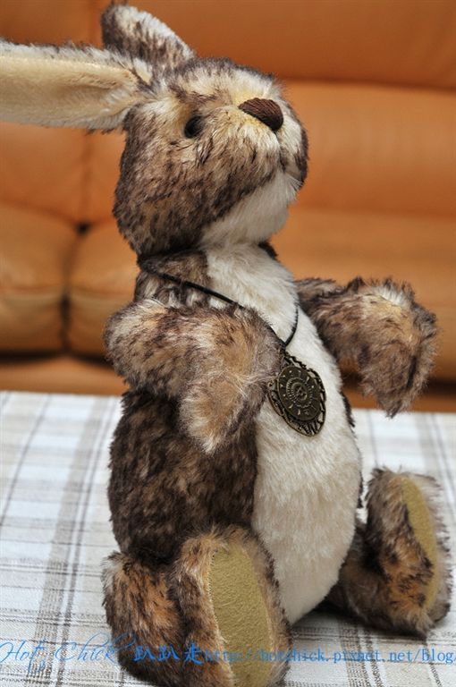 bear01.jpg bear01.jpg