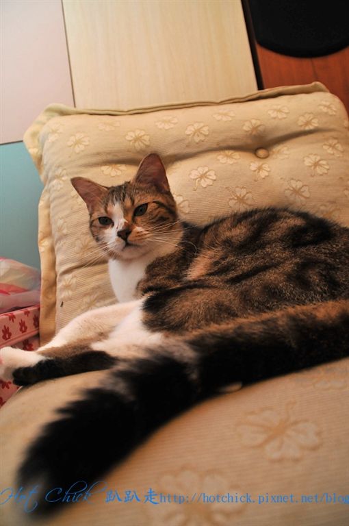 princess03.jpg princess03.jpg