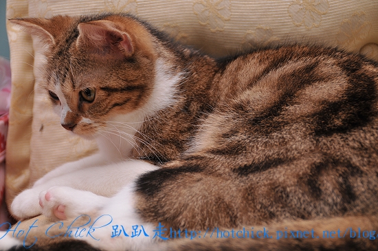 princess04.jpg princess04.jpg