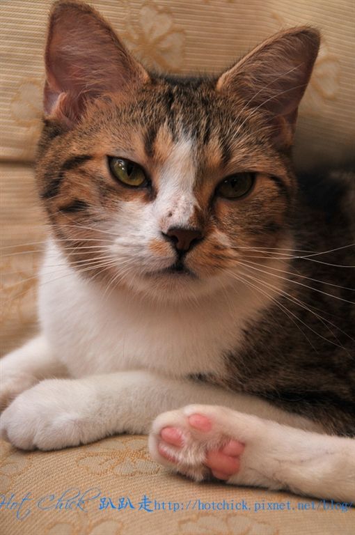 princess05.jpg princess05.jpg