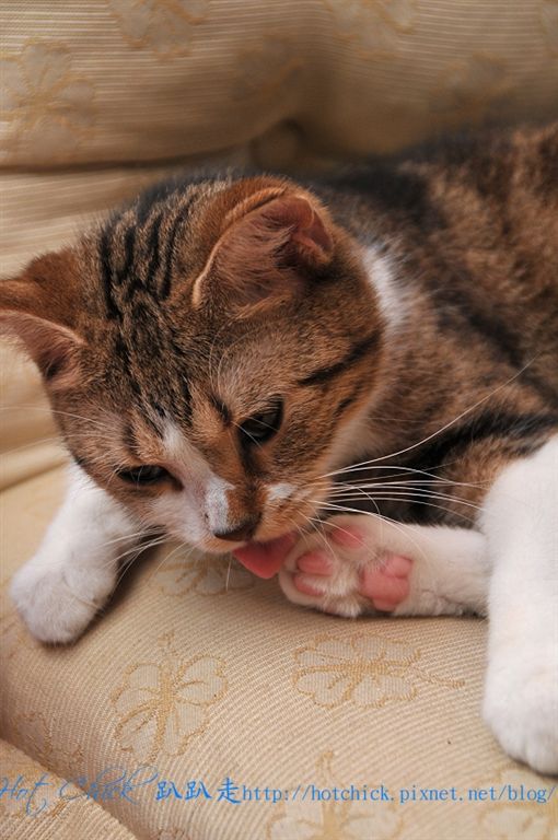 princess06.jpg princess06.jpg