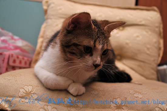 princess07.jpg princess07.jpg