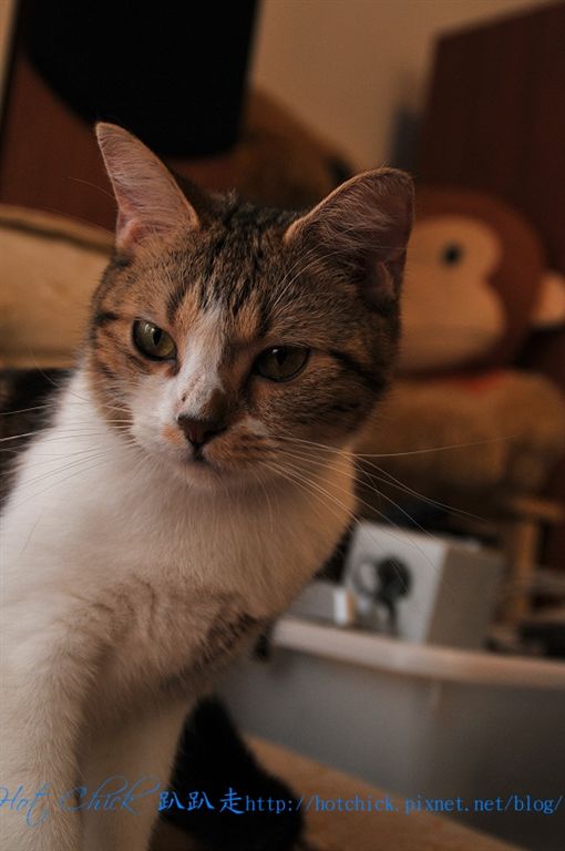 princess08.jpg princess08.jpg