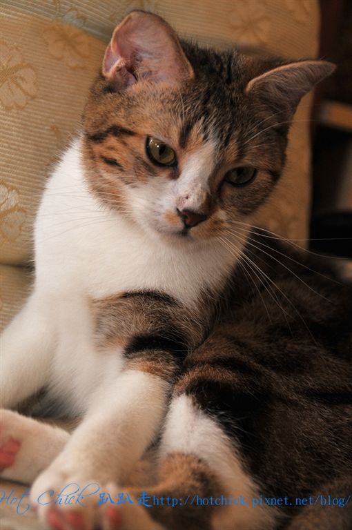 princess09.jpg princess09.jpg