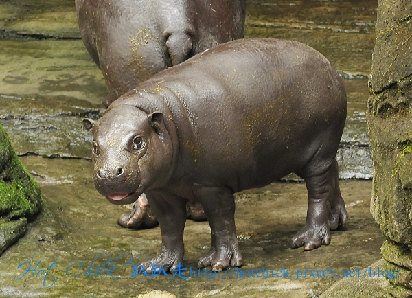 zoo02.jpg zoo02.jpg