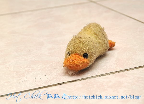 ducky01.jpg ducky01.jpg