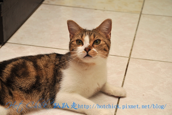 ducky02.jpg ducky02.jpg