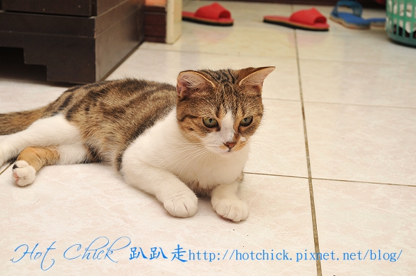 ducky03.jpg ducky03.jpg