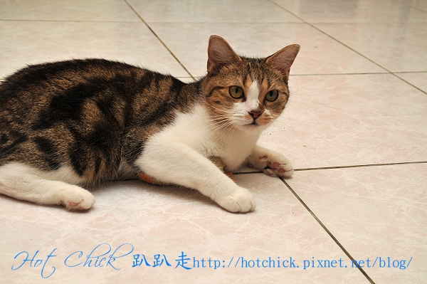 ducky05.jpg ducky05.jpg