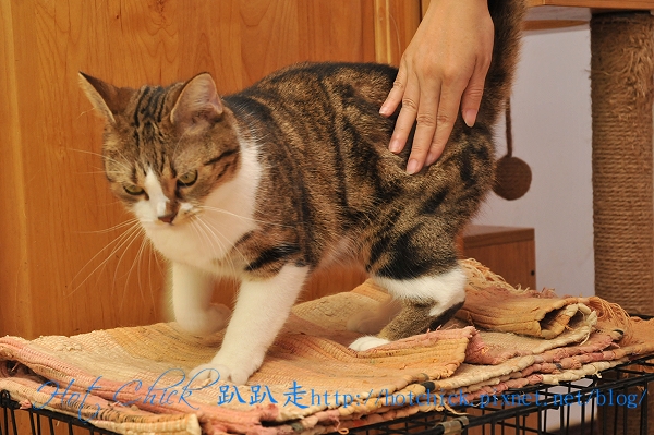 fight03.jpg fight03.jpg