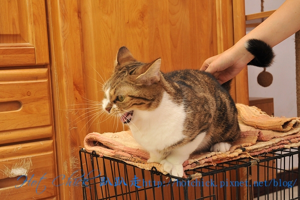 fight04.jpg fight04.jpg