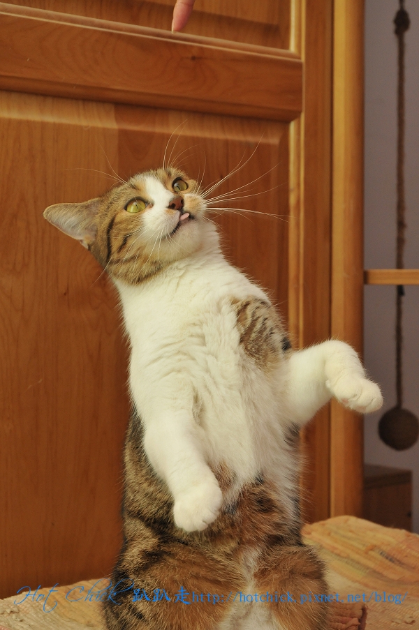 play01.jpg play01.jpg