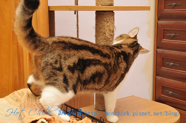 play02.jpg play02.jpg