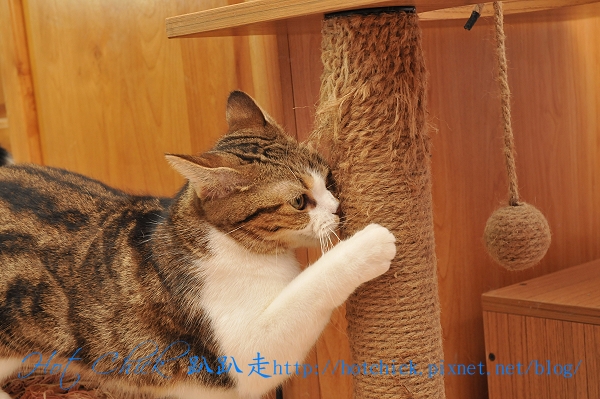 play03.jpg play03.jpg