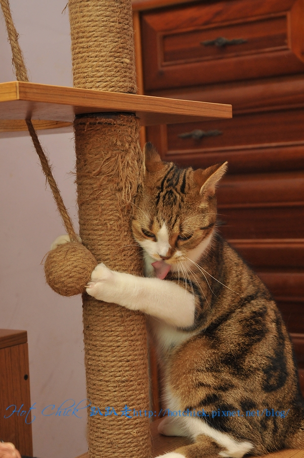 play06.jpg play06.jpg