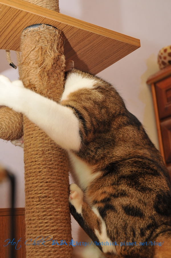 play08.jpg play08.jpg