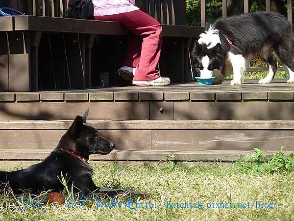 part07.jpg part07.jpg