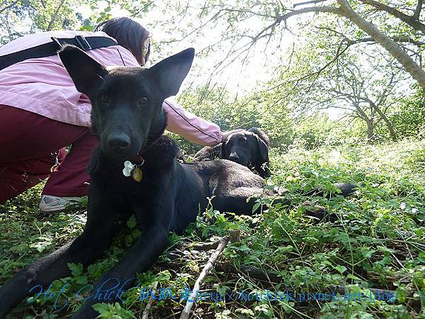 part09.jpg part09.jpg