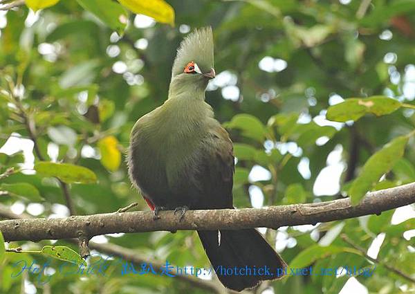 green02.jpg green02.jpg