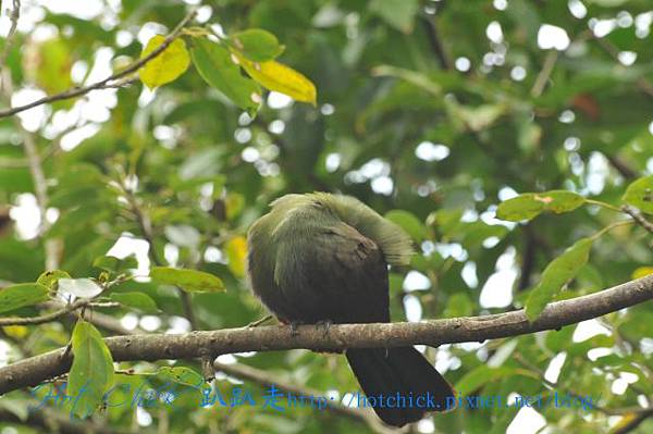 green03.jpg green03.jpg