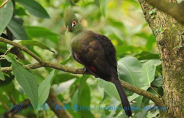 green05.jpg green05.jpg