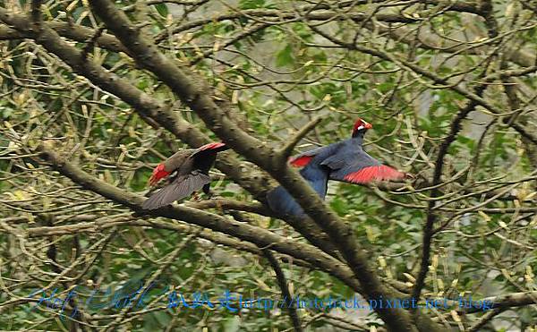 green10.jpg green10.jpg