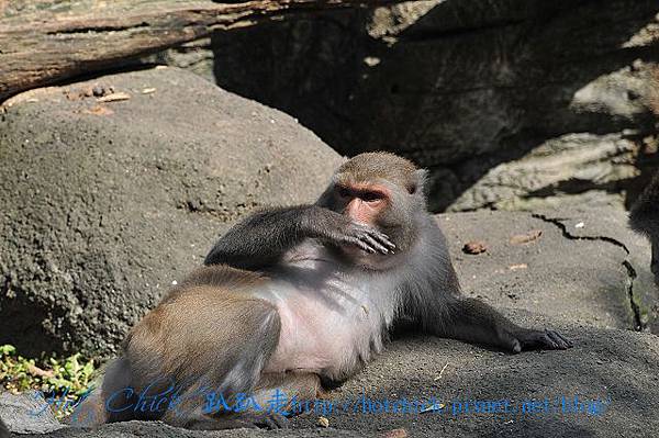 taiwan04.jpg taiwan04.jpg