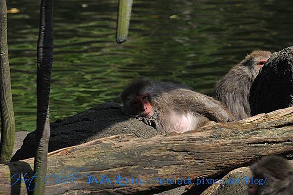 taiwan05.jpg taiwan05.jpg