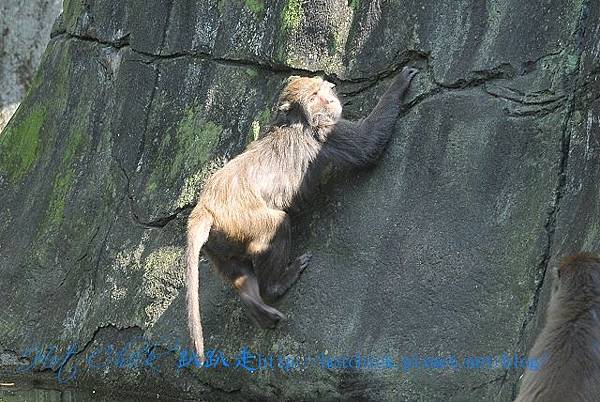 taiwan06.jpg taiwan06.jpg