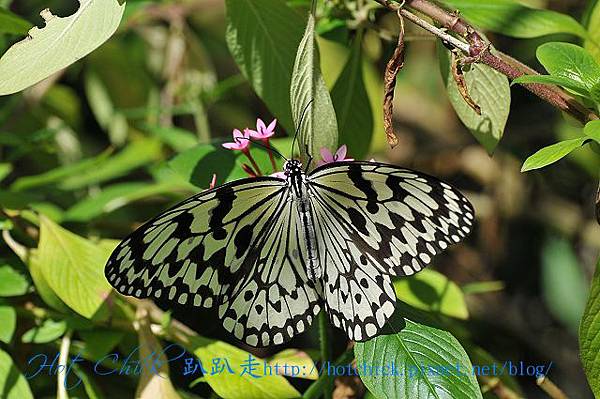 taiwan08.jpg taiwan08.jpg