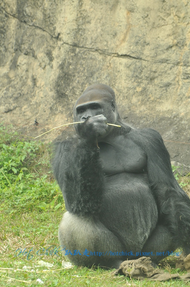 baubau04.jpg baubau04.jpg